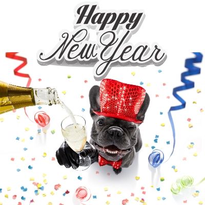 Funny Happy New Year Images 2021 Download