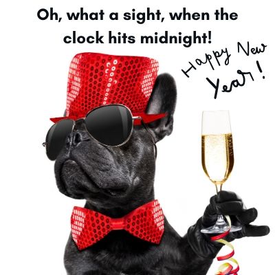 Hilarious Happy New Year Pictures in HD