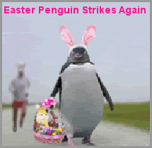 easter penguin gif