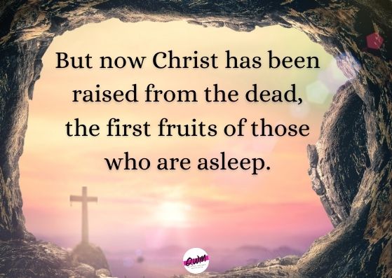 He is Risen Bible Verse