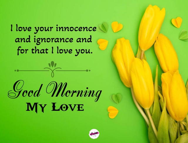 Good Morning My Love quotes