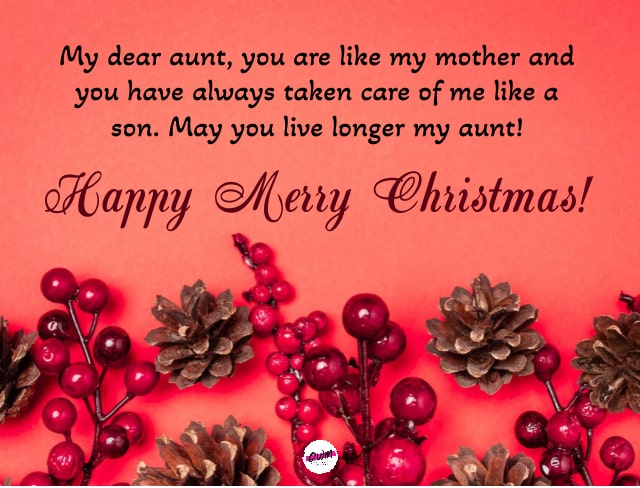 Merry Christmas Wishes for Aunt & Her Family