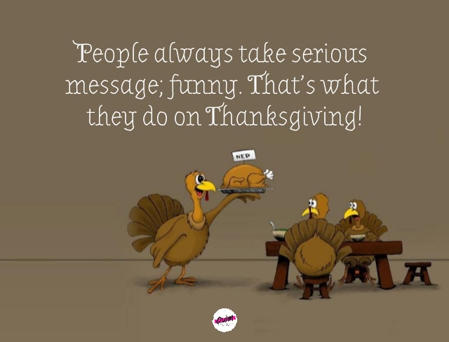 Funny Turkey Sayings & Quotes