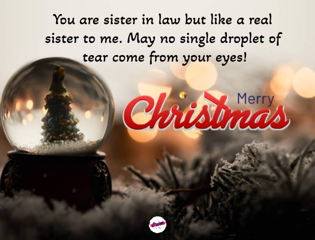 Merry Christmas Wishes for Sister in Law