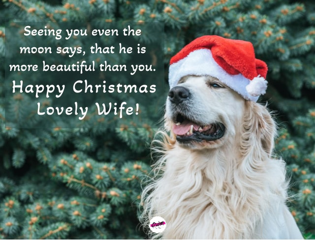 Funny Christmas wishes for Wife