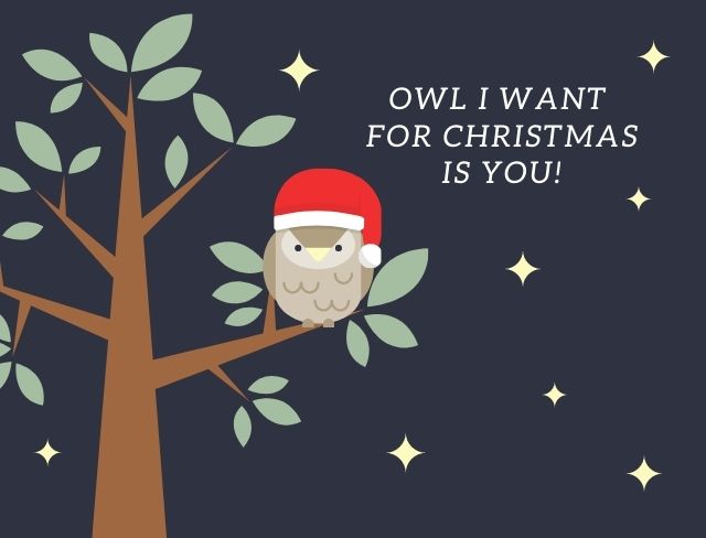 Funny Merry Christmas Images 2022