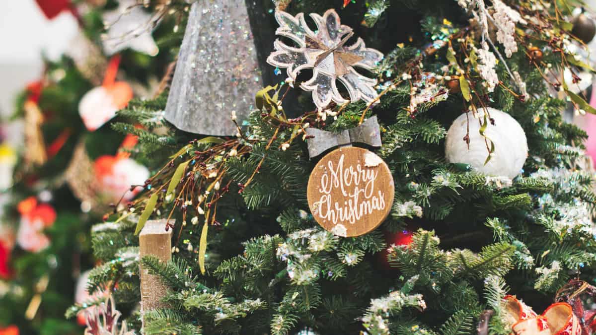 60+ Merry Christmas Wishes for Sister & Sister-in-Law 2022