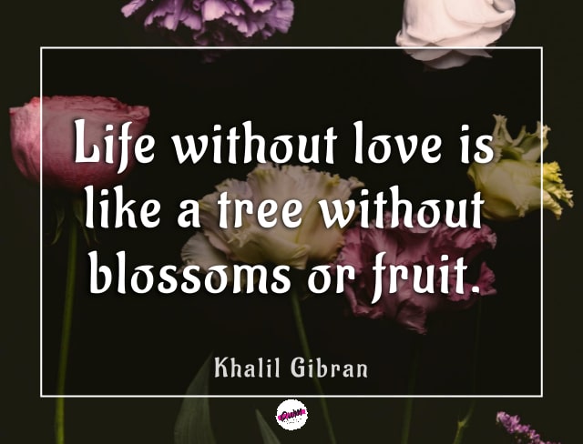 philosophical love quotes 