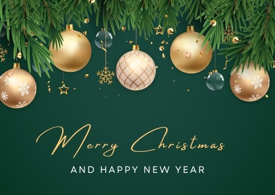 merry christmas and happy new year friends and family