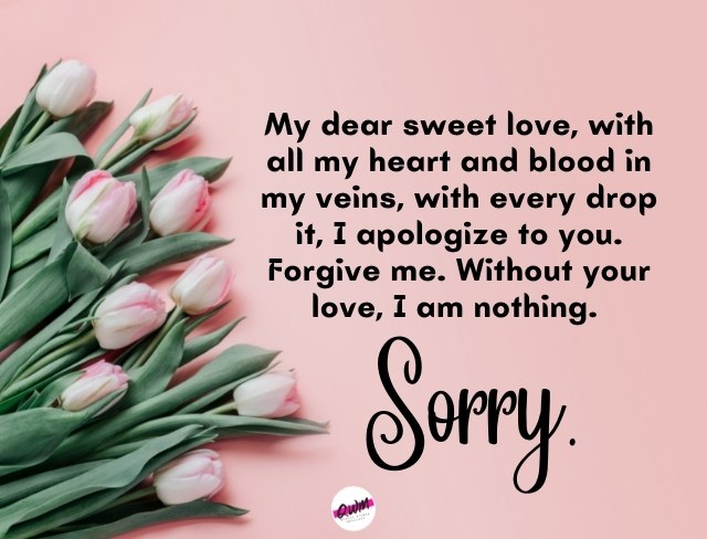 Sweet Apology Message for Him