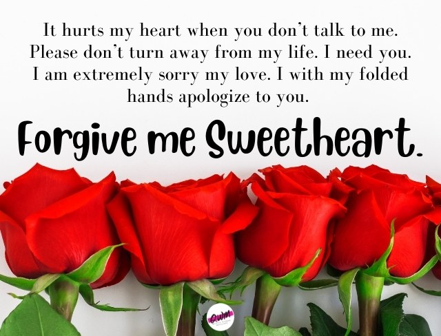 Heart Touching Sorry Messages for Boyfriend