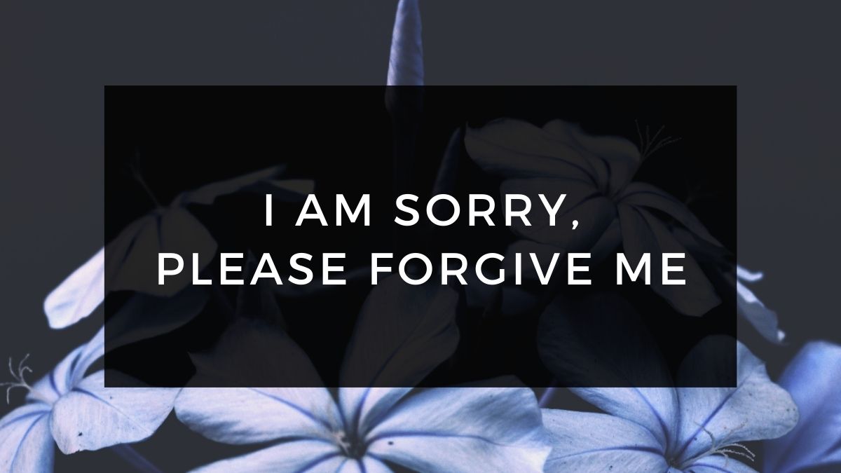 100+ I am Sorry Messages | Best Apology Messages for Love