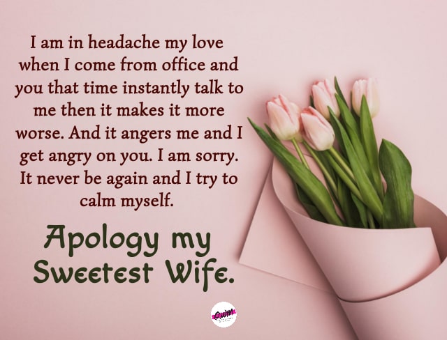 Long Apology Messages for Wife After Fight 