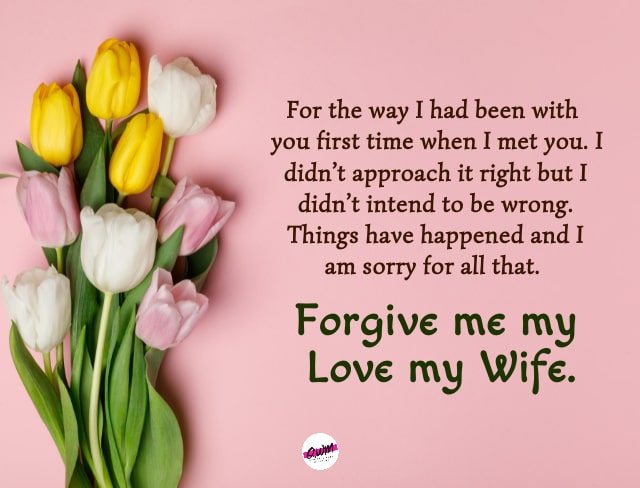 Sorry Messages for Wife