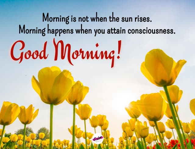 beautiful good morning quotes