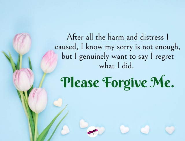 Apology Message for Her 