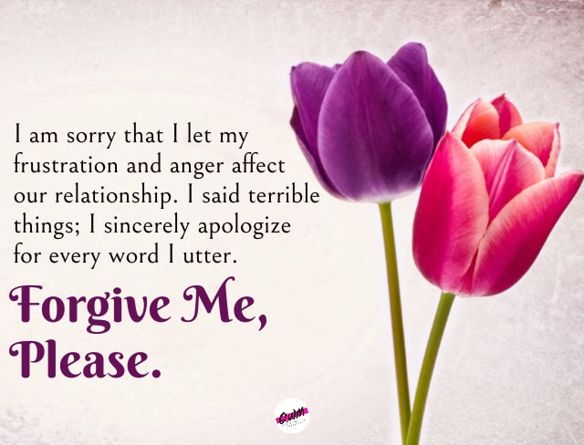 Apology Message for Him