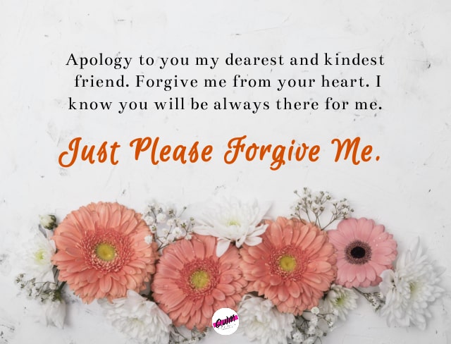 Apology Message for Friend