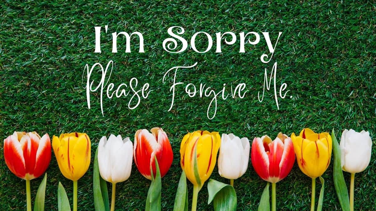 50+ Sorry Messages for Friend | Apology Quotes for Friend