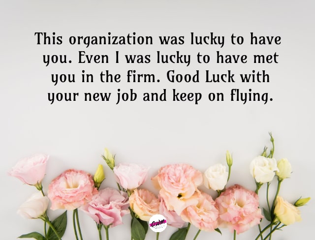 Farewell Messages For Colleagues