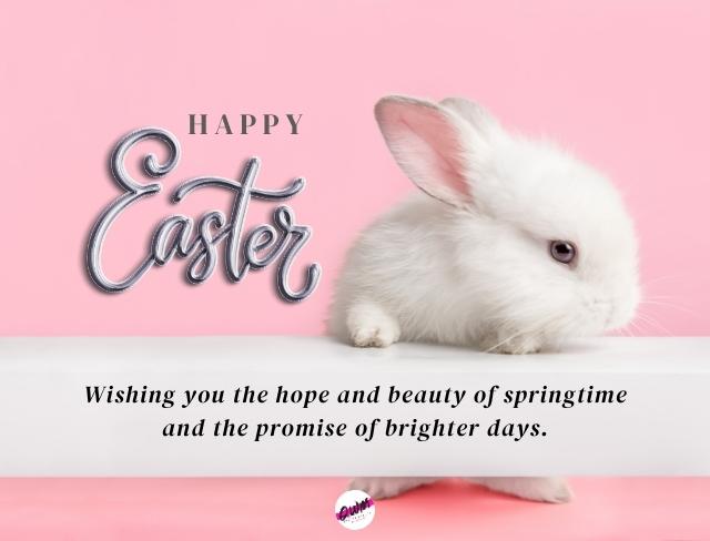 Easter Bunny Images 2022