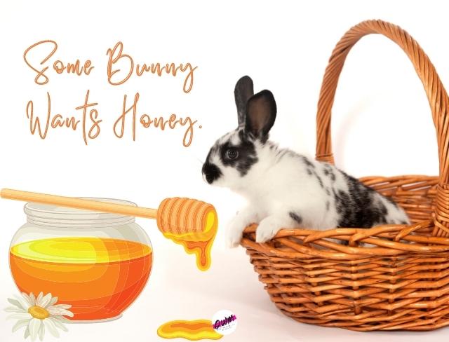funny easter captions