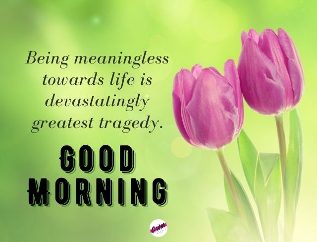 good morning messages with images free download