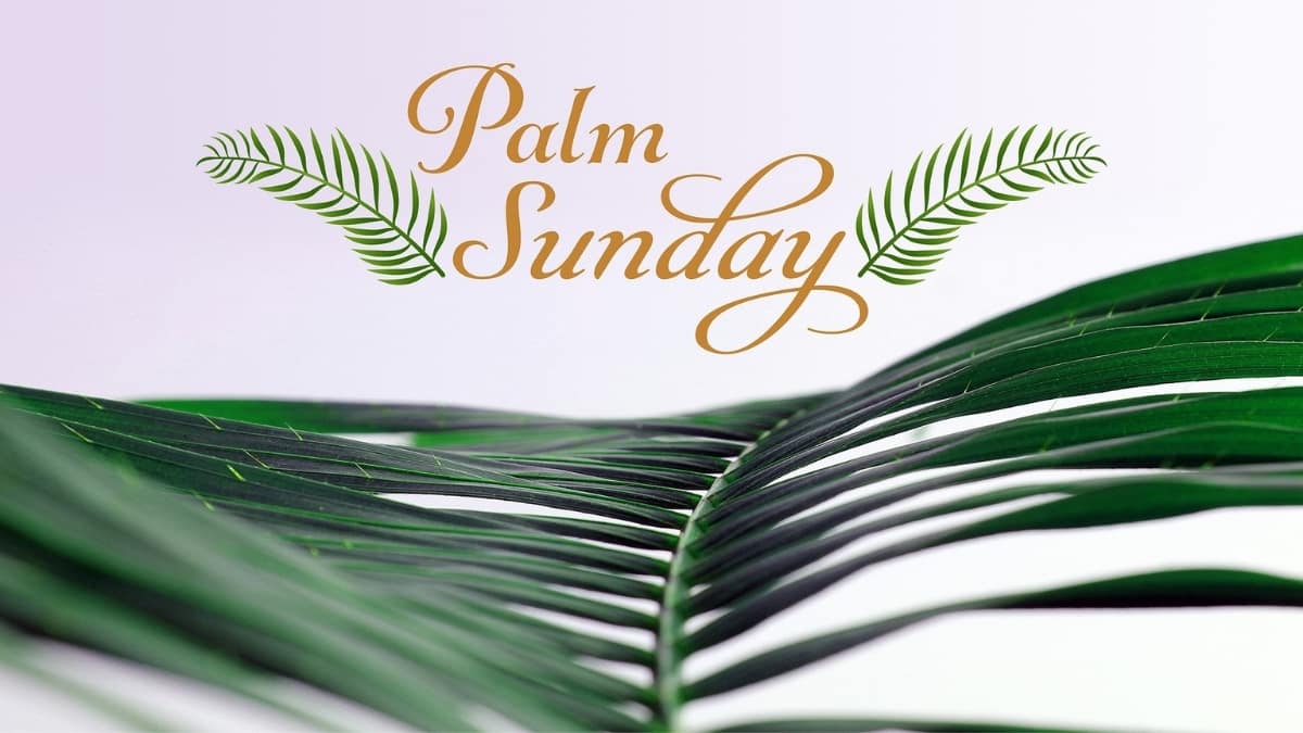 60+ Holy Palm Sunday Scriptures and Bible Verses for peaceful recitation: The King Has Come