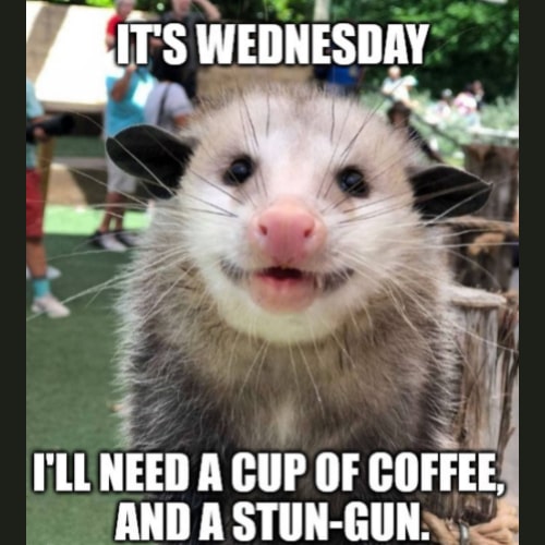 wednesday memes Coffee