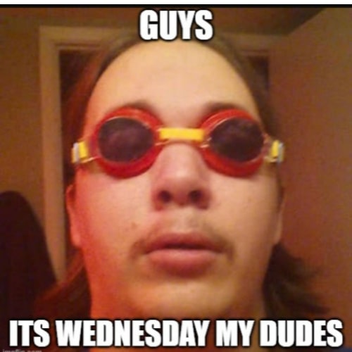 its wednesday my dudes meme