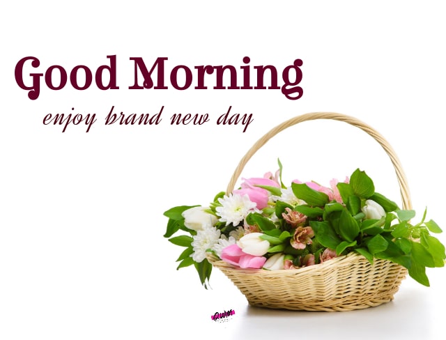 good morning enjoy brand new day