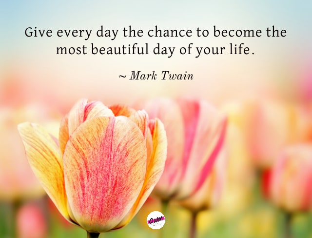 good morning quote about beautiful day