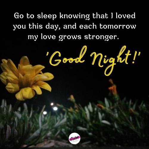 Good Night Quotes for friend