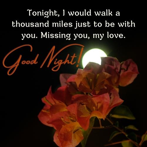Good Night Quotes for Lover