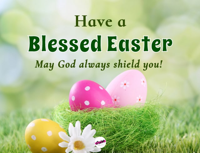 have a blessed easter wishes 
