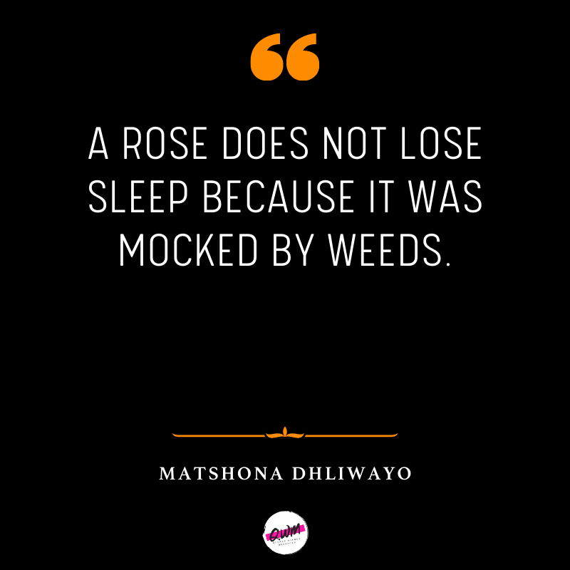 Matshona Dhliwayo Rose Quotes