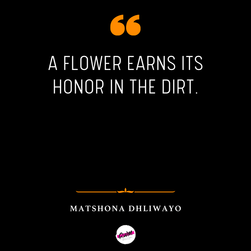 Matshona Dhliwayo flower Quotes