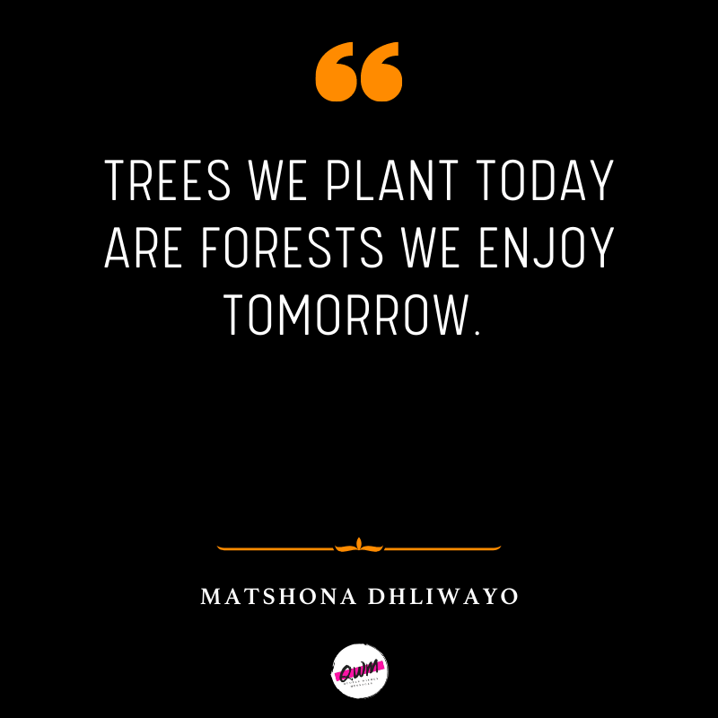 Matshona Dhliwayo Nature Quotes
