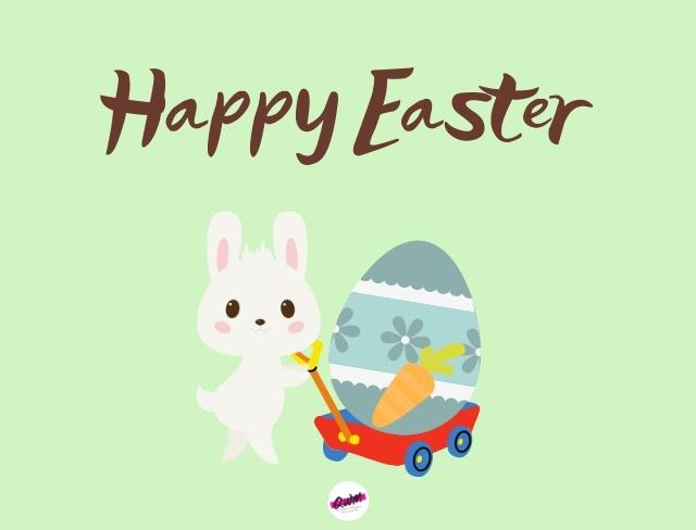 cute easter bunny pictures