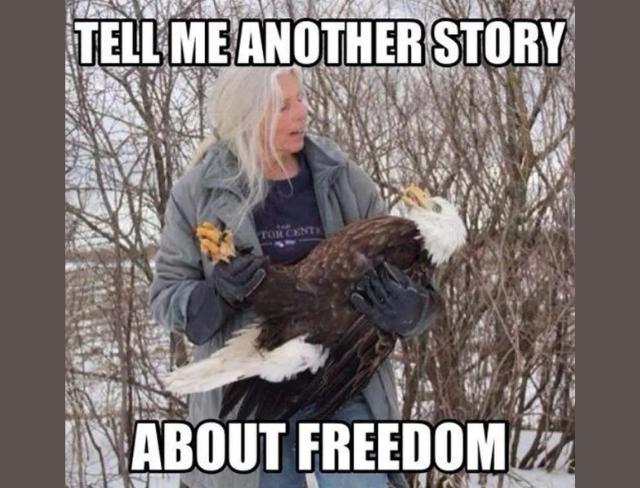 Memorial Day Memes about freedom