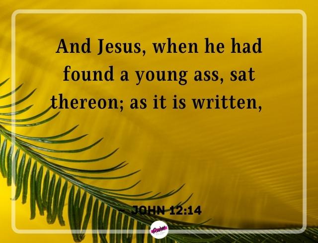 Palm Sunday Bible Verses John