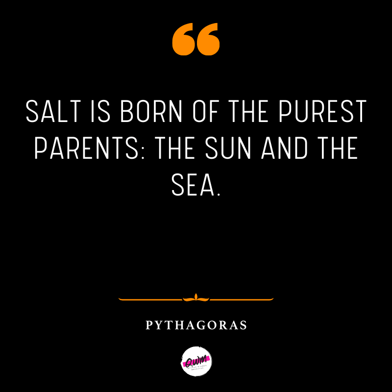 Pythagoras Quotes