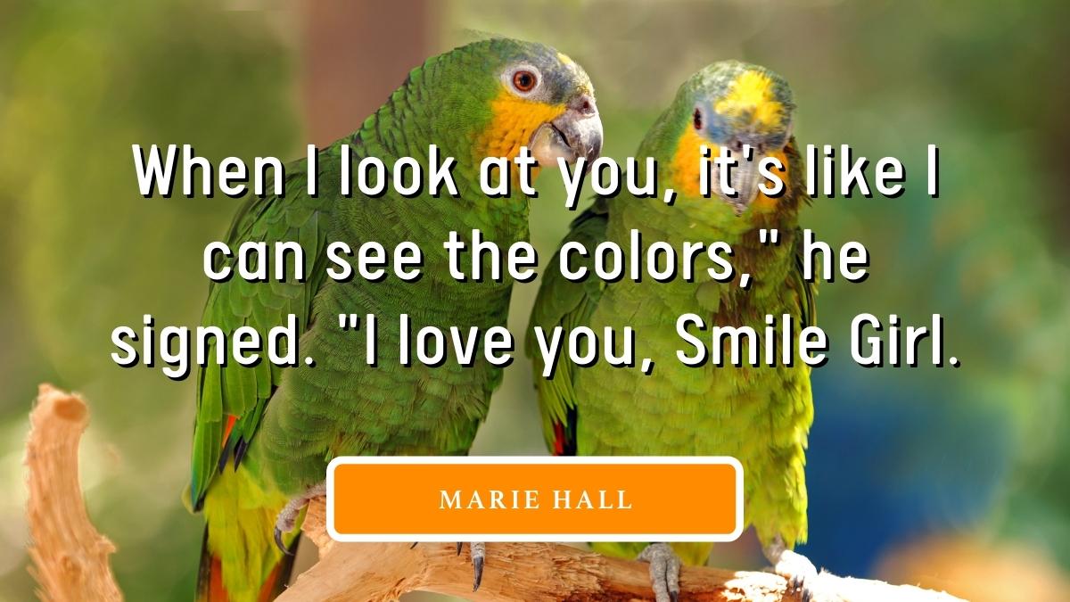 When I Look At You Quotes