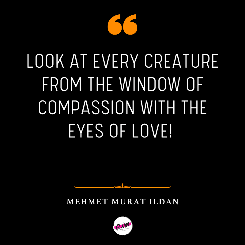Love Quotes About Eyes