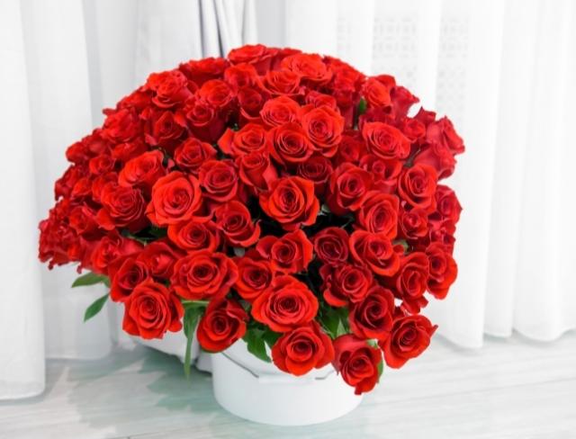 Red Roses